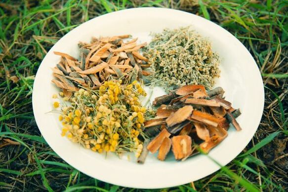 liaudies gynimo priemonės nuo kirminų ir parazitų žmonėms