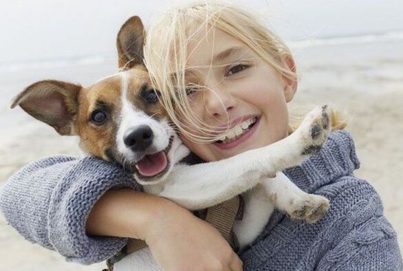 parazitinė šuns infekcija