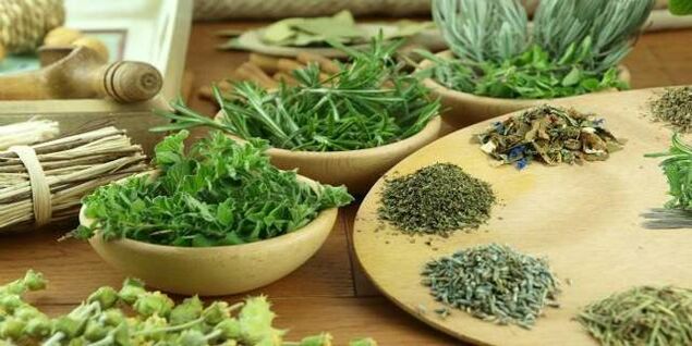 gvazdikėliai nuo parazitų organizme